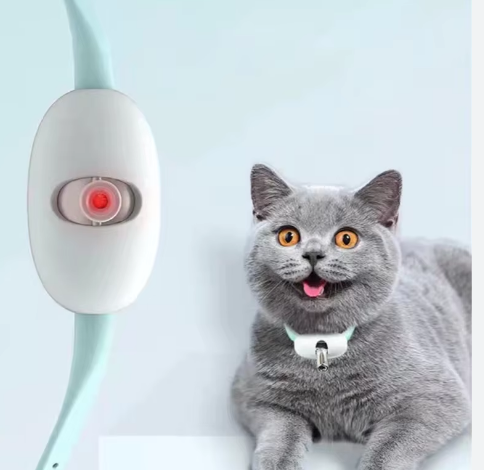 Collar Laser Gatos